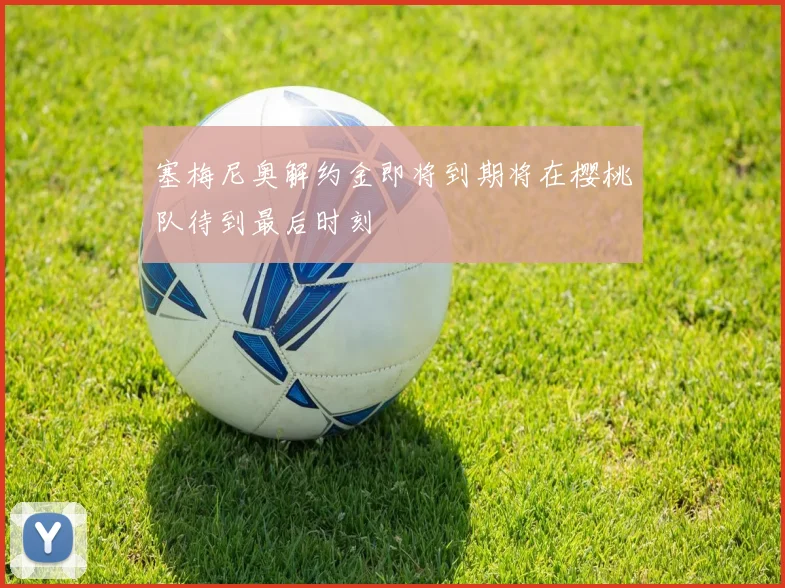 塞梅尼奥解约金即将到期将在樱桃队待到最后时刻