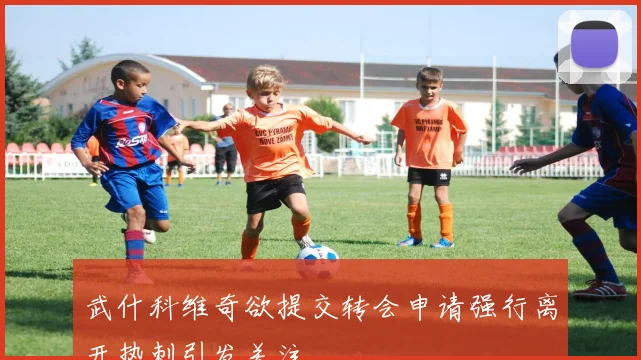 武什科维奇欲提交转会申请强行离开热刺引发关注