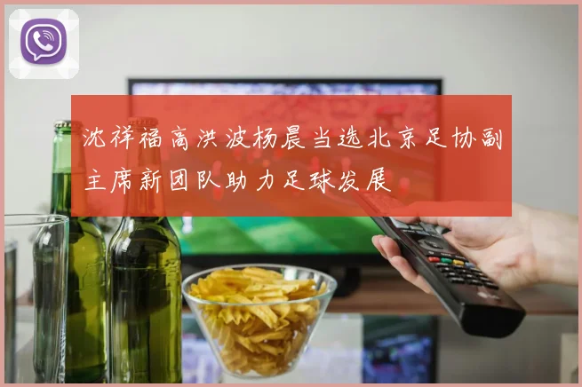 沈祥福高洪波杨晨当选北京足协副主席新团队助力足球发展